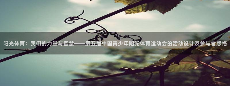 凯发电子游戏娱乐官网：阳光体育：我们的力量与智慧——第五届中