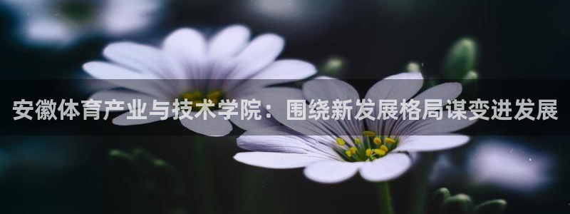 凯发在线官网下载：安徽体育产业与技术学院：围绕新发展格局谋变