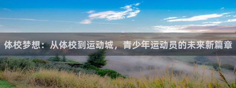 K8凯发集团--欢迎您：体校梦想：从体校到运动城，青少年运动
