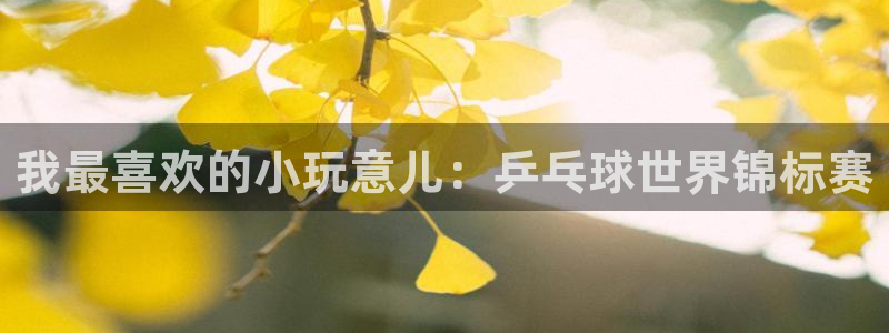  凯发k8网页登录：我最喜欢的小玩意儿：乒乓球世界锦标赛