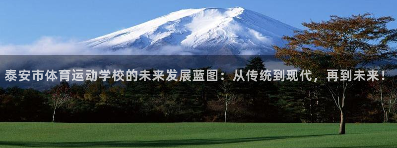  k8：泰安市体育运动学校的未来发展蓝图：从传统到现代，再到未