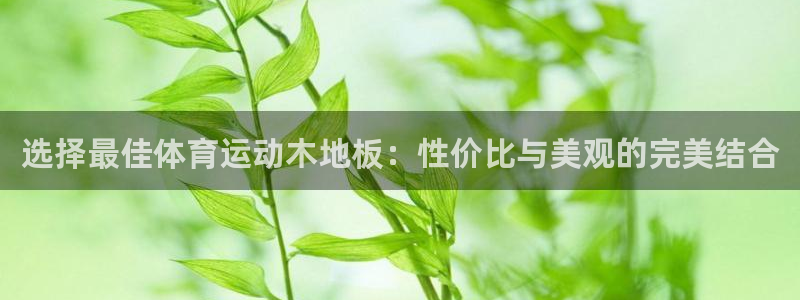k8凯发官方app下载：选择最佳体育运动木地板：性价比与美观